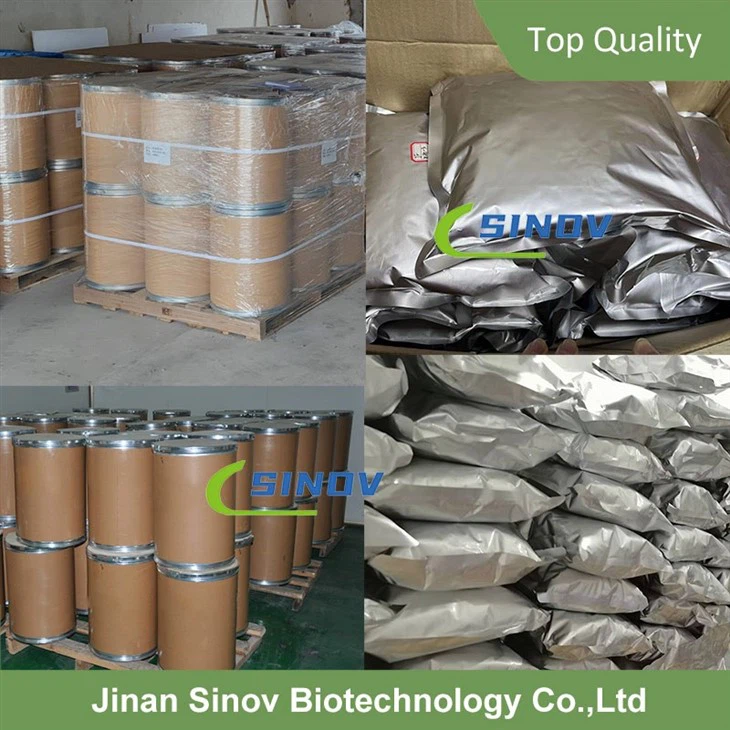 Berberine Hydrochloride Powder