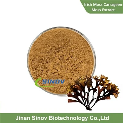 Lambda Carrageenan
